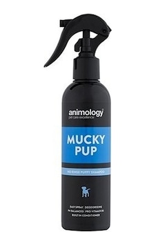 Animology Mucky Pup No Rinse Kuru Yavru Köpek Şampuanı 250 ML Animology Mucky Pup No Rinse Kuru Yavru Köpek Şampuanı 250 ML