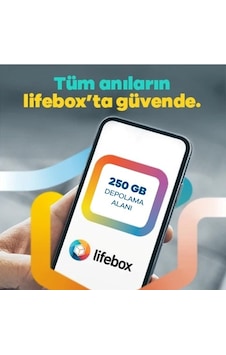 12 Aylik 250 GB