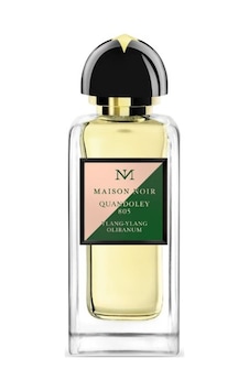 Maison Noir Quandoley 805 Erkek Parfüm EDP 100 ML Maison Noir Quandoley 805 Erkek Parfüm EDP 100 ML