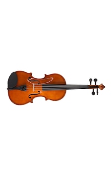 Valencia V40014 1/4 Başlangıç Serisi Keman Seti - Parlak Cila Öğrenci Serisi Küçük Yaş Grubu İçin Ergonomik Yapı, Seçilmiş Ton Ağaçları, Parlak Estetik Görünüm Ve Koruyucu Çantasıyla Birlikte Valencia V40014 1/4 Başlangıç Serisi Keman Seti - Parlak Cila Öğrenci Serisi Küçük Yaş Grubu İçin Ergonomik Yapı, Seçilmiş Ton Ağaçları, Parlak Estetik Görünüm Ve Koruyucu Çantasıyla Birlikte