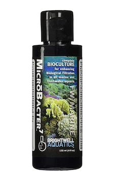Brightwell Aquatics MicroBacter7 Kültürü 125 ML Brightwell Aquatics MicroBacter7 Kültürü 125 ML