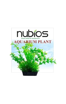 Nubios Plastik Bitki Kare Tabanlı Tekli Karton 10 Cm 219-59007.01 Nubios Plastik Bitki Kare Tabanlı Tekli Karton 10 Cm 219-59007.01