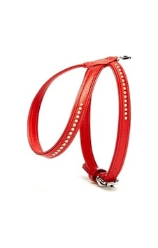 Doggie Flotter Swarovski Taşlı Deri Köpek Göğüs Tasması 1,2 X 21-30 Cm Kırmızı