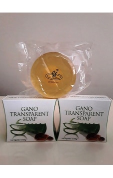 Gano Transparent Aloe Vera Şeffaf Sabun 2 x 100 G Gano Transparent Aloe Vera Şeffaf Sabun 2 x 100 G