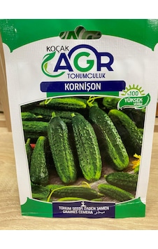 Agr Kornişon Salatalık Tohumu SALATALIK Agr Kornişon Salatalık Tohumu SALATALIK
