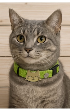 Mıt Kedi Boyun Tasması Kedi Figürlü Yeşil Mıt Kedi Boyun Tasması Kedi Figürlü Yeşil