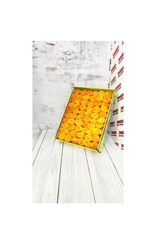 5 Kg Jumbo Boy Sarı Kayısı Diğer