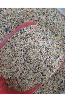 Mh Karışık Muhabbet Kuşu Yemi 5 KG