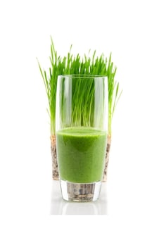 Doğal Buğday Çimi Için Anadolu Buğday Tohumu 2 Kg Yerli Tohum Doğal Buğday Çimi Için Anadolu Buğday Tohumu 2 Kg Yerli Tohum