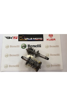 BENELLİ BN251 VİTES DİŞLİSİ TAKIM (ŞANZUMAN SETİ) BENELLİ BN251 VİTES DİŞLİSİ TAKIM (ŞANZUMAN SETİ)