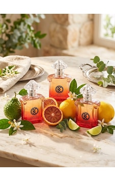 Fresh Erkek Parfümü 25 Ml Cep Boy Narenciye Fresh Erkek Parfümü 25 Ml Cep Boy Narenciye