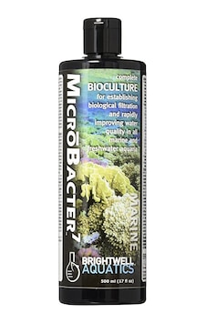 Brightwell Microbacter7 -Kültürü 500 ML Brightwell Microbacter7 -Kültürü 500 ML
