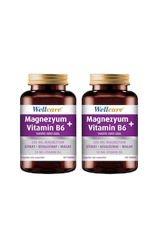 Wellcare Magnezyum + Vitamin B6 2 x 60 Tablet Wellcare Magnezyum + Vitamin B6 2 x 60 Tablet