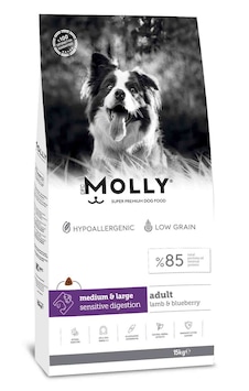 Molly Kuzu Etli ve Yaban Mersinli Orta ve Büyük Irk Yetişkin Köpek 15 KG Molly Kuzu Etli ve Yaban Mersinli Orta ve Büyük Irk Yetişkin Köpek 15 KG