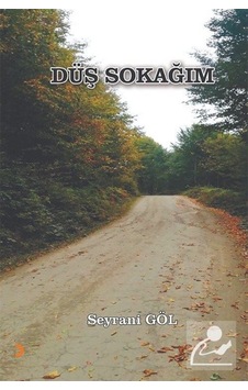Düş Sokağım / Seyrani Göl Düş Sokağım / Seyrani Göl