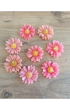 Bernami Biblo Pinterest 10 Adet Pembe Papatya Mum. Düğün Nişan Hediyelik Nikah Şekeri Bebek Şekeri Mevlit Sünnet Aksesuar Bernami Biblo Pinterest 10 Adet Pembe Papatya Mum. Düğün Nişan Hediyelik Nikah Şekeri Bebek Şekeri Mevlit Sünnet Aksesuar