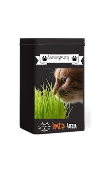 Yıl Boyu Yeşil Kedi Çimi - Pomponet Yıl Boyu Yeşil Kedi Çimi - Pomponet