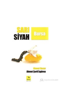 Bursa'nın Sarı Siyah Renkleri, Kültürel Bir Anlatım Bursa'nın Sarı Siyah Renkleri, Kültürel Bir Anlatım