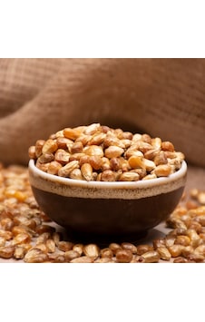 Kurtuluş Kuruyemiş Kavurga Mısır 500 G Kurtuluş Kuruyemiş Kavurga Mısır 500 G