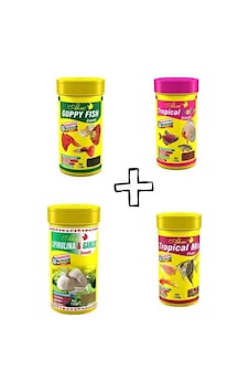 Ahm Lepistes İçin Özel Yem Seti 100 Ml X 4 Adet Ahm Lepistes İçin Özel Yem Seti 100 Ml X 4 Adet