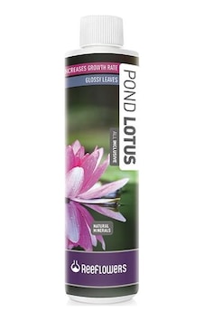 Reeflowers Pond Lotus All Inclusive 3000ml Reeflowers Pond Lotus All Inclusive 3000ml