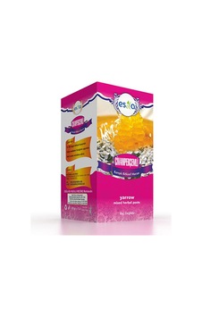 Esila Civanperçemli Karışık Bitkisel Macun 420 G Esila Civanperçemli Karışık Bitkisel Macun 420 G