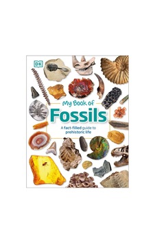 My Book Of Fossils - My Book Of My Book Of Fossils - My Book Of