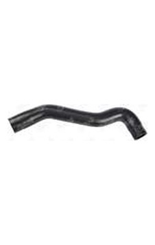 Radyator Hortumu Ust Albea Palıo 1,2 8v 02- Radyator Hortumu Ust Albea Palıo 1,2 8v 02-