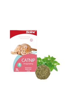 Bioline Catnip Doğal Kedi Nanesi 20 gr Bioline Catnip Doğal Kedi Nanesi 20 gr