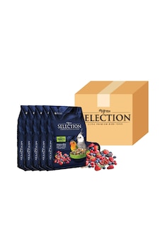 Myyem Selection Gerçek Meyve Parçalı Paraket Yemi 1kg 5 Li Pake Myyem Selection Gerçek Meyve Parçalı Paraket Yemi 1kg 5 Li Pake