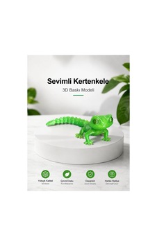 Sevimli Kertenkele Figür 3d Sevimli Kertenkele Figür 3d