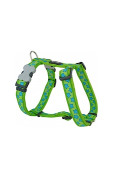 Reddingo Lime Üzerine Turkuaz Yıldızlı Köpek Göğüs Tasması L / 25 MM Lime Reddingo Lime Üzerine Turkuaz Yıldızlı Köpek Göğüs Tasması L / 25 MM Lime