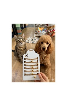 Rose Zincir Şık Ve Kaliteli Kedi Köpek Boyun Kolyesi Rose Zincir Şık Ve Kaliteli Kedi Köpek Boyun Kolyesi
