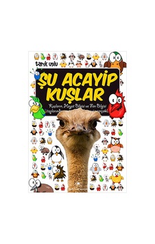 Şu Acayip Kuşlar Şu Acayip Kuşlar