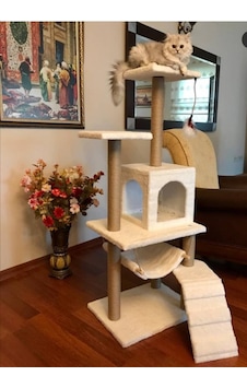 Pethomealpi Kedi Tırmalama Evi Mihrabat 125 CM