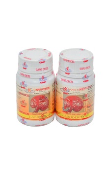 Ganoderma 2x90
