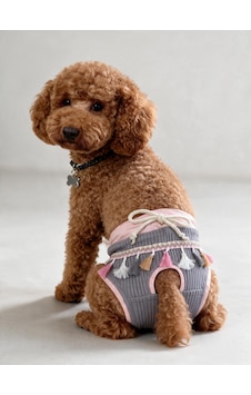 Mini Tassel Lilly Dişi Köpek Regl Külotu Köpek Donu Köpek İç Çamaşırı Pet Kıyafet Küçük Irklar İçin Mini Tassel Lilly Dişi Köpek Regl Külotu Köpek Donu Köpek İç Çamaşırı Pet Kıyafet Küçük Irklar İçin