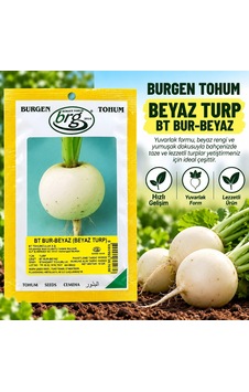 Burgen Tohum Beyaz Turp 10 Gr Bt Burgen Tohum Beyaz Turp 10 Gr Bt