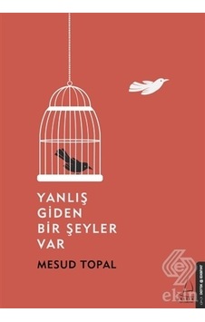 Yanlış Giden Bir Şeyler Var-Mesud Topal