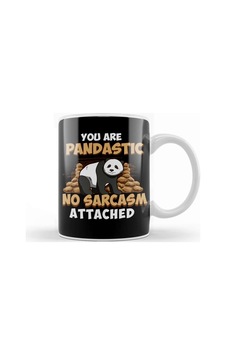 You Are Pandastic, No Sarcasm Attached Funny Panda Kupa Bardak Porselen Karışık You Are Pandastic, No Sarcasm Attached Funny Panda Kupa Bardak Porselen Karışık