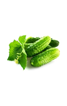 Yerli Kornişon Salatalık Tohumu 3 GR Ort 120 Ad Tohum N114476 Yerli Kornişon Salatalık Tohumu 3 GR Ort 120 Ad Tohum N114476
