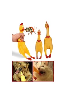 Sesli Horoz Eğlenceli Köpek Ve Kediler İçin Sesli Öten Horoz Oyuncak 15 Cm Sesli Horoz Eğlenceli Köpek Ve Kediler İçin Sesli Öten Horoz Oyuncak 15 Cm
