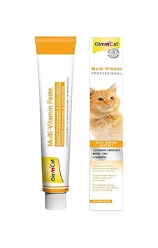 Gimcat Multivitamin Paste Kedi Macunu 2 x 100 G Gimcat Multivitamin Paste Kedi Macunu 2 x 100 G