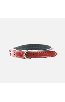 Zampa Köpek Boyun Tasması Kırmızı 35 Cm Zampa Köpek Boyun Tasması Kırmızı 35 Cm