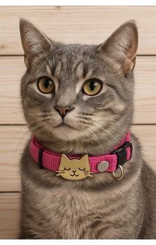 Mıt Kedi Boyun Tasması Kedi Figürlü Pembe Mıt Kedi Boyun Tasması Kedi Figürlü Pembe