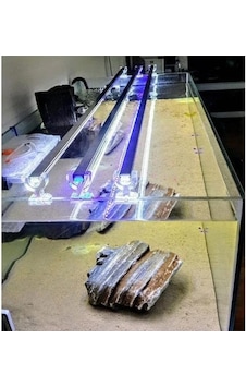 Mavi Akvaryum Led Aydınlatma, 100 Cm Uzunlukta Açık Bej Mavi Akvaryum Led Aydınlatma, 100 Cm Uzunlukta Açık Bej