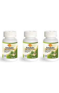 Force Nutrition Artichoke (Enginar) 120 Tablet 3 Kutu Force Nutrition Artichoke (Enginar) 120 Tablet 3 Kutu