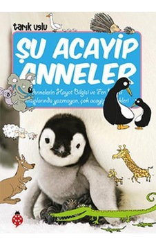 Şu Acayip Anneler - Uğurböceği Yayınları Şu Acayip Anneler - Uğurböceği Yayınları