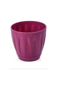 Papatya Saksı 4 Litre Royaleks-p004 Diğer Papatya Saksı 4 Litre Royaleks-p004 Diğer
