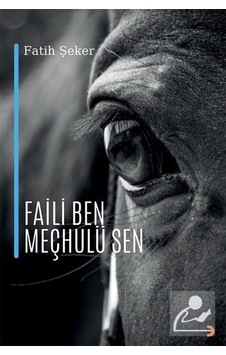 Faili Ben Meçhulü Sen - Fatih Şeker - Cinius